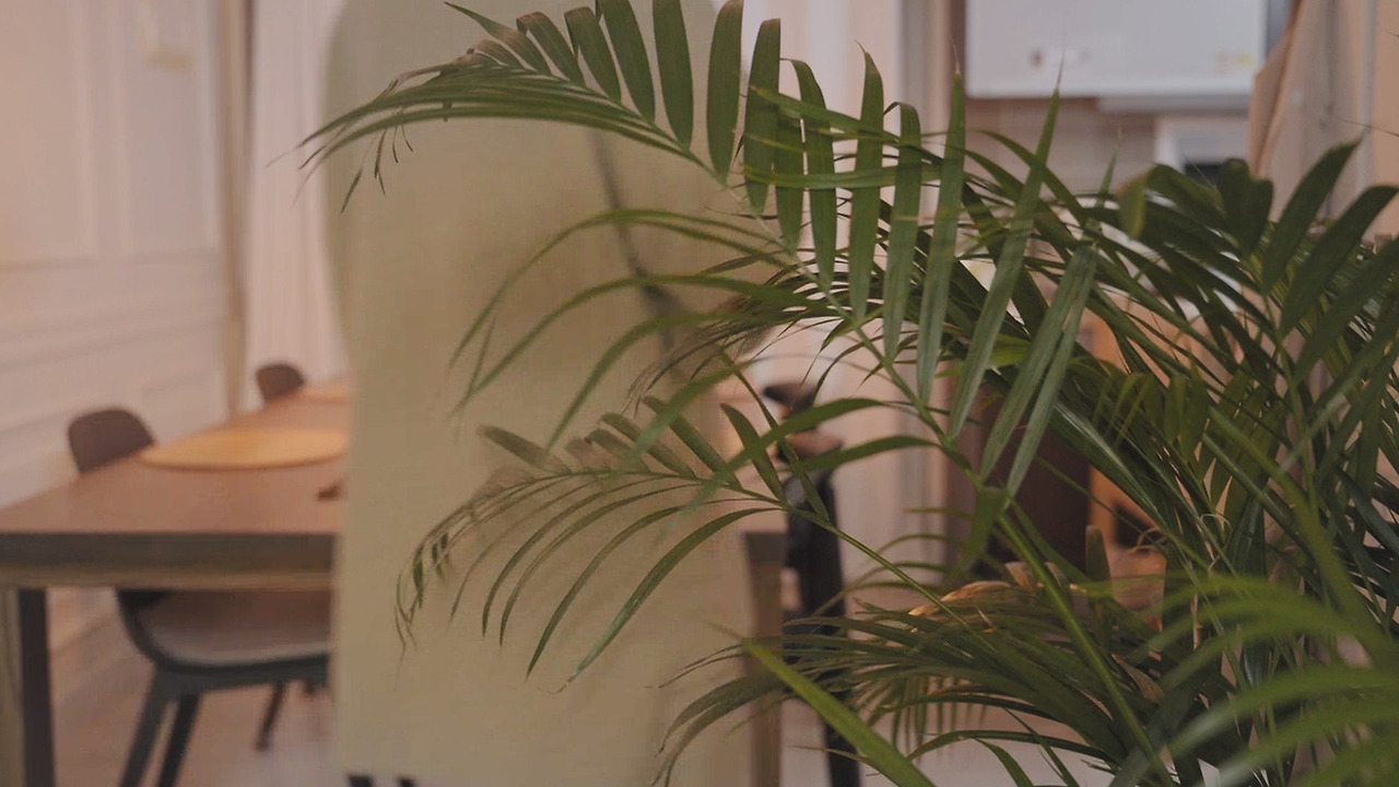 Still 2024-11-29 122129_1.221.1.jpg