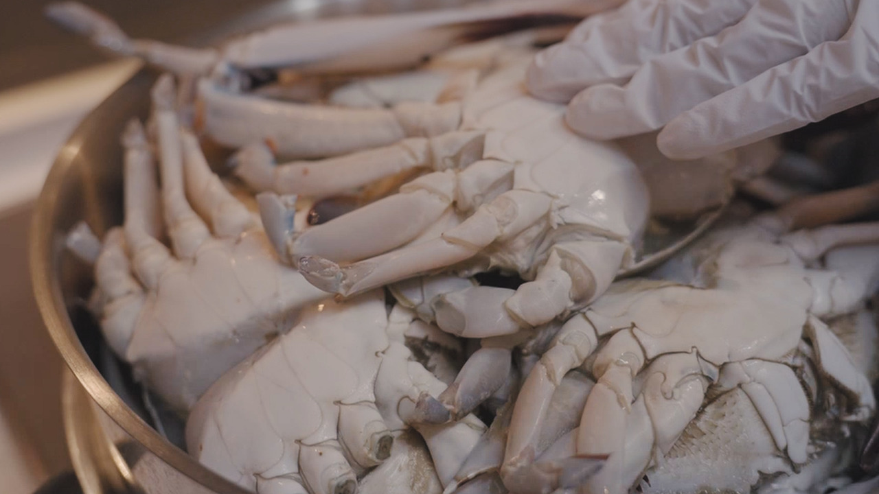 01_Still 2024-10-25 113400_2.1.18.jpg