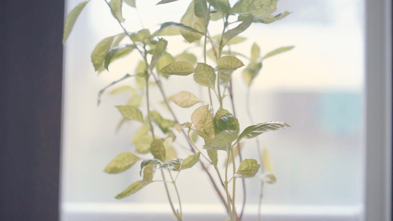 01_Still 2024-11-05 194207_2.4.1.jpg