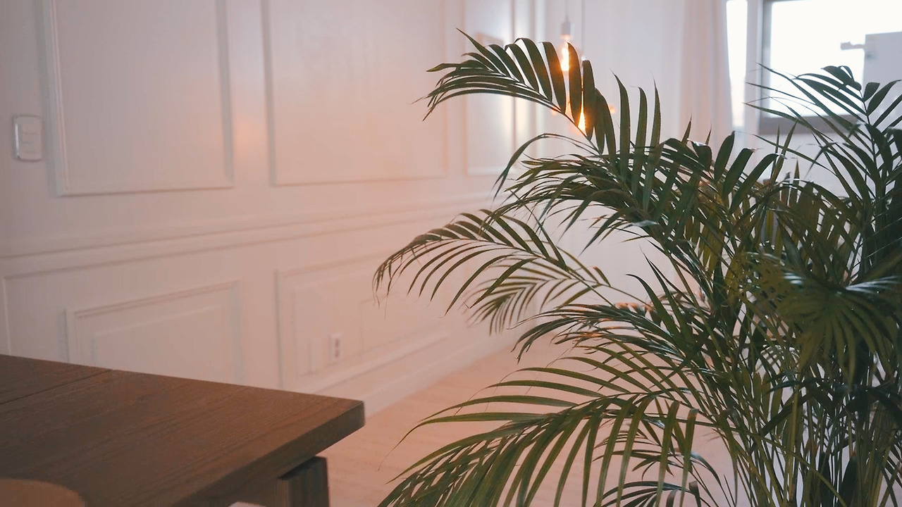 Still 2024-11-14 165033_2.13.12.jpg