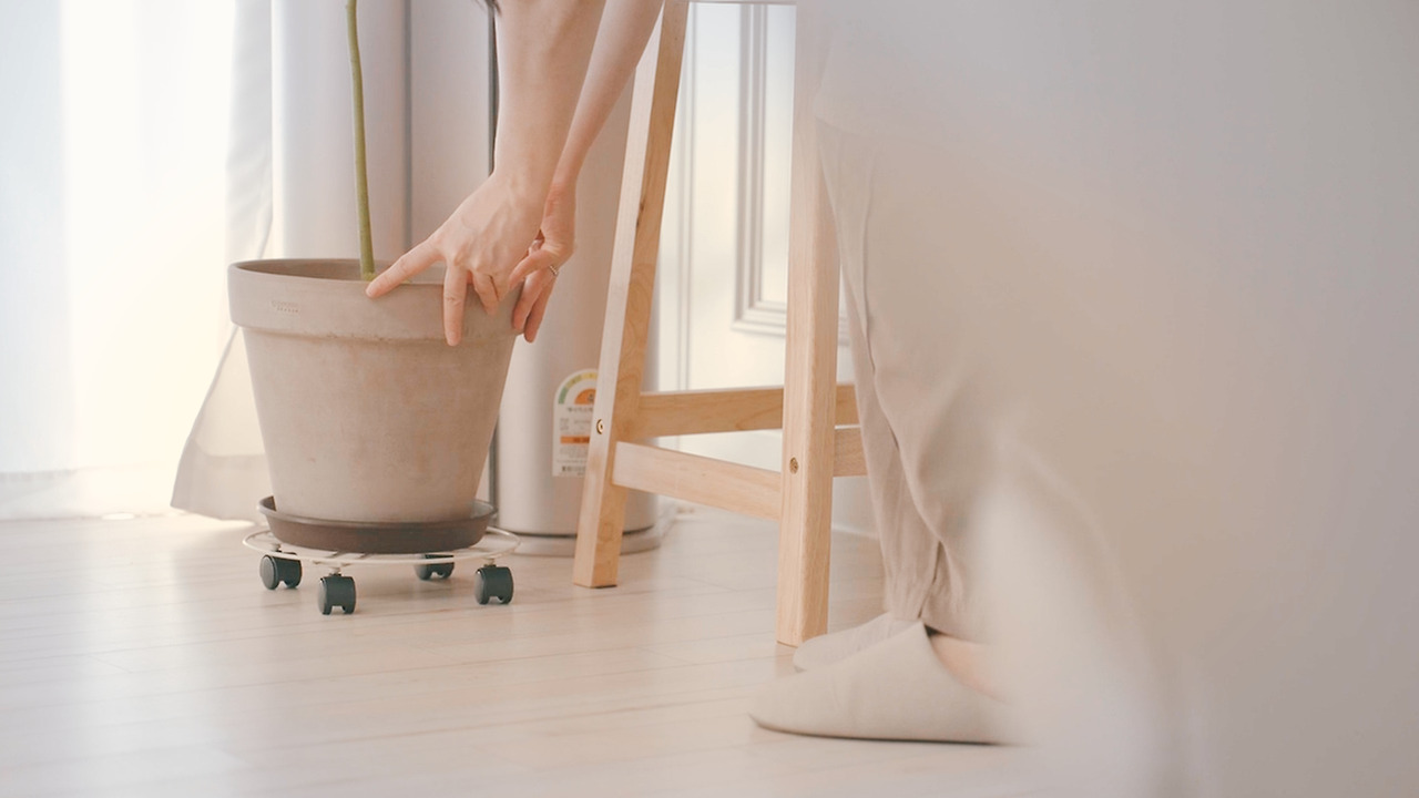 Still 2024-11-14 165033_2.10.2.jpg