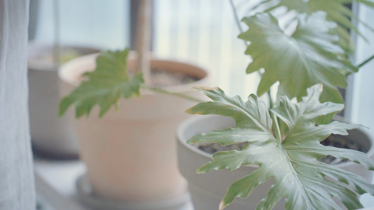 01_Still 2024-11-05 194207_2.4.2.jpg