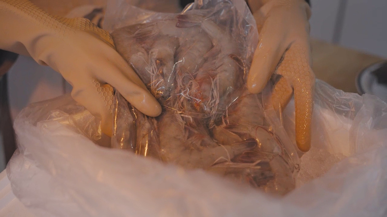 01_Still 2024-10-25 113400_2.1.2.jpg