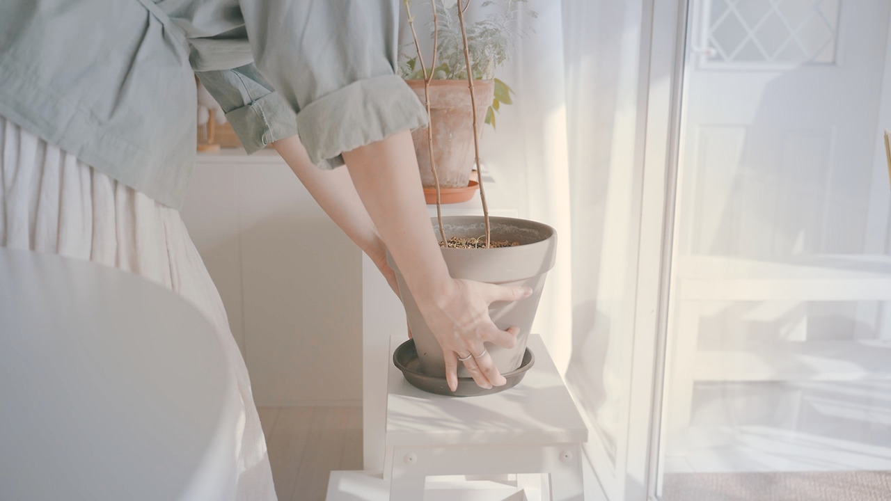 Still 2024-11-14 165033_2.16.6.jpg