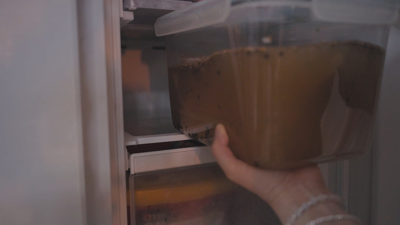 02_Still 2024-09-14 163036_1.28.1.jpg