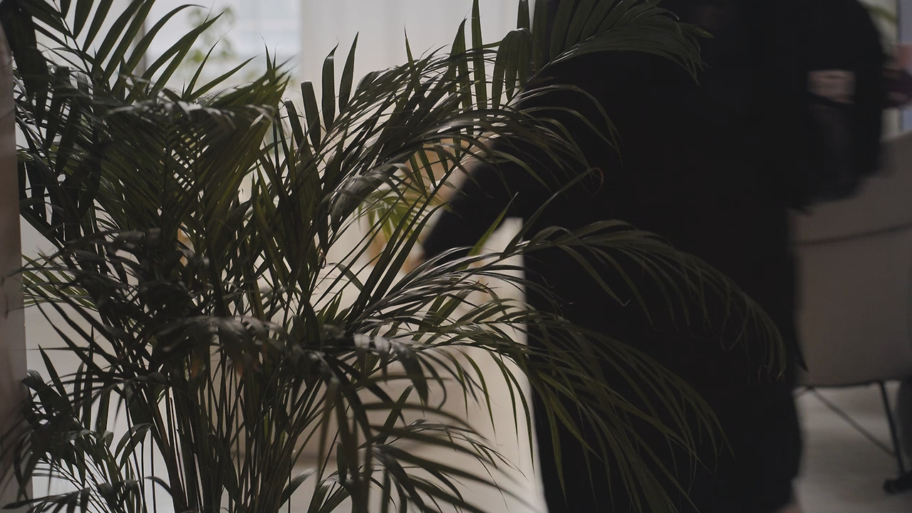 Still 2024-12-06 234143_1.23.1.jpg