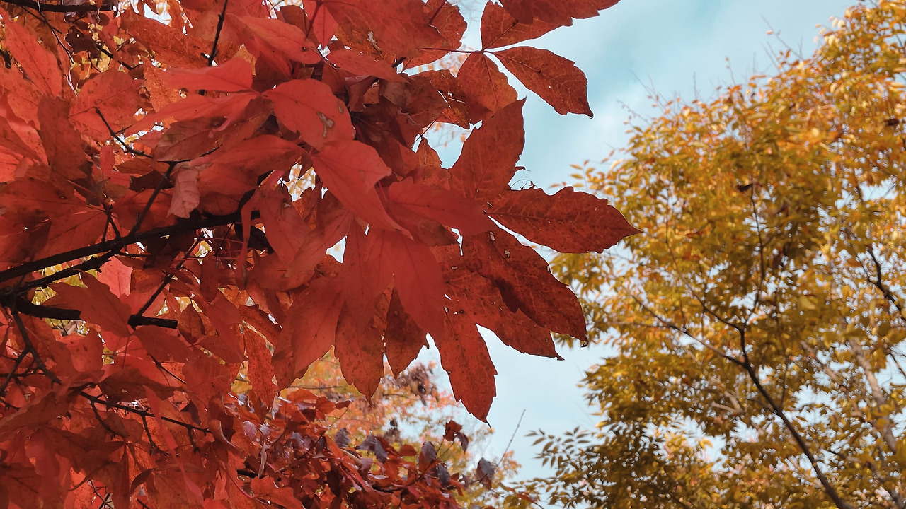 01_Still 2024-11-05 194207_2.1.2.jpg