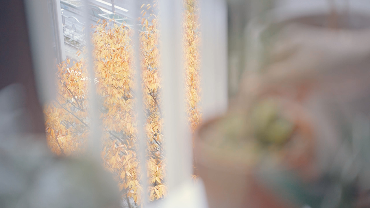 01_Still 2024-11-05 194207_2.3.1.jpg