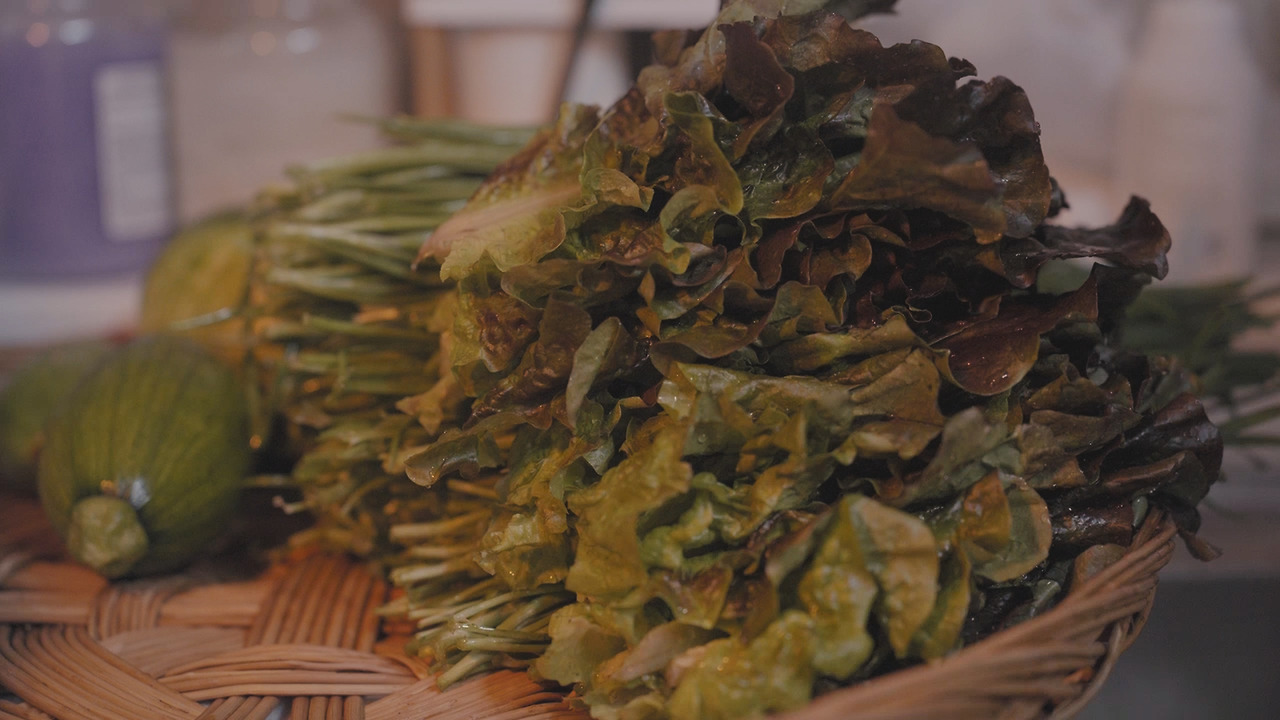 01_Still 2024-10-17 035135_2.1.4.jpg