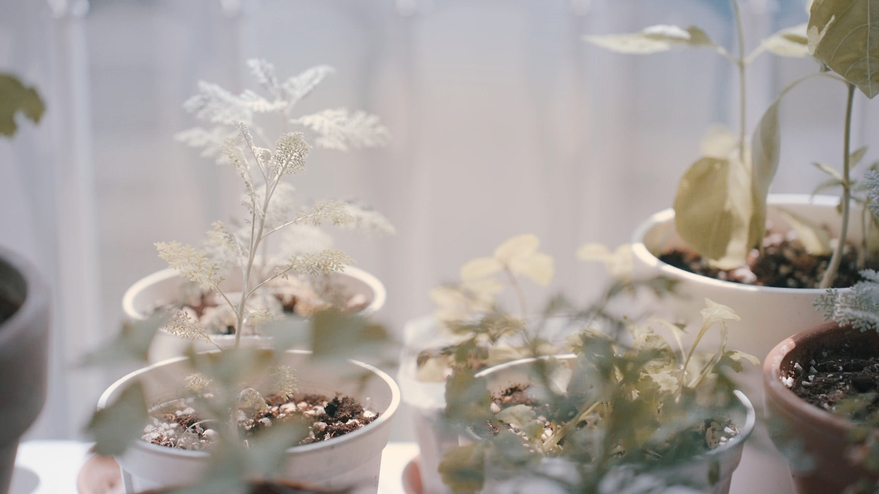 제목 없음_2.8.8.jpg