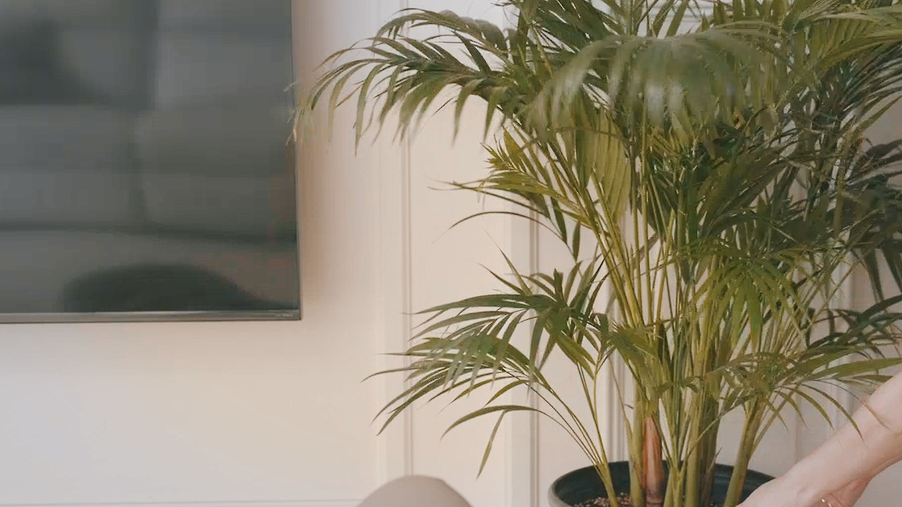 Still 2024-11-14 165033_2.10.8.jpg