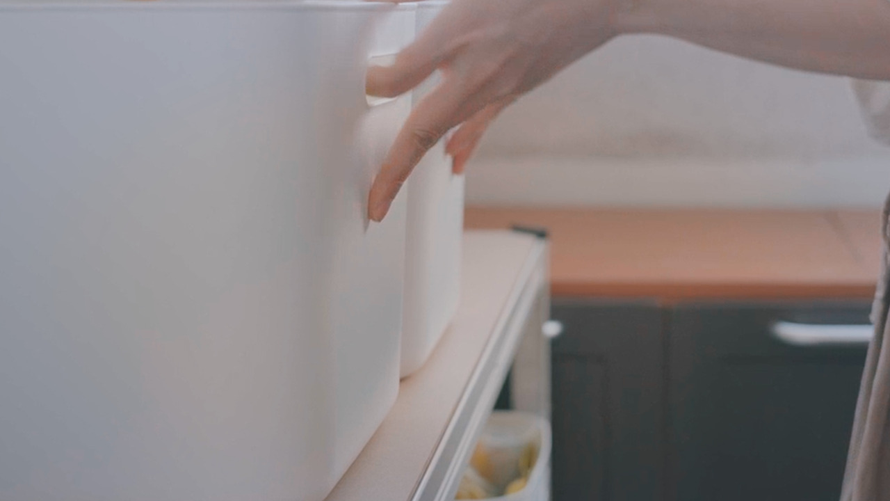 Still 2024-11-29 122129_1.44.1.jpg