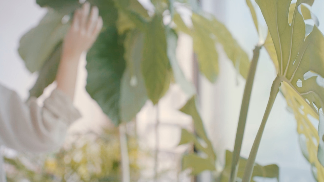 Still 2024-08-28 133250_2.8.2.jpg