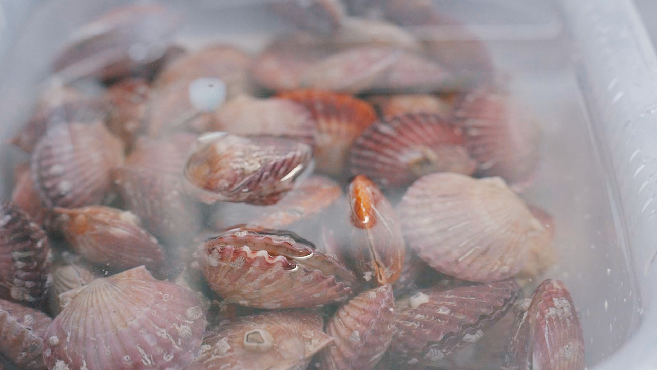 Still 2024-11-29 122129_1.80.1.jpg