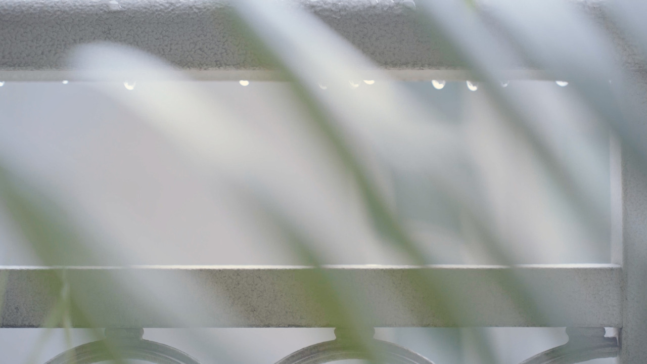 01_Still 2024-11-05 194207_2.7.13.jpg