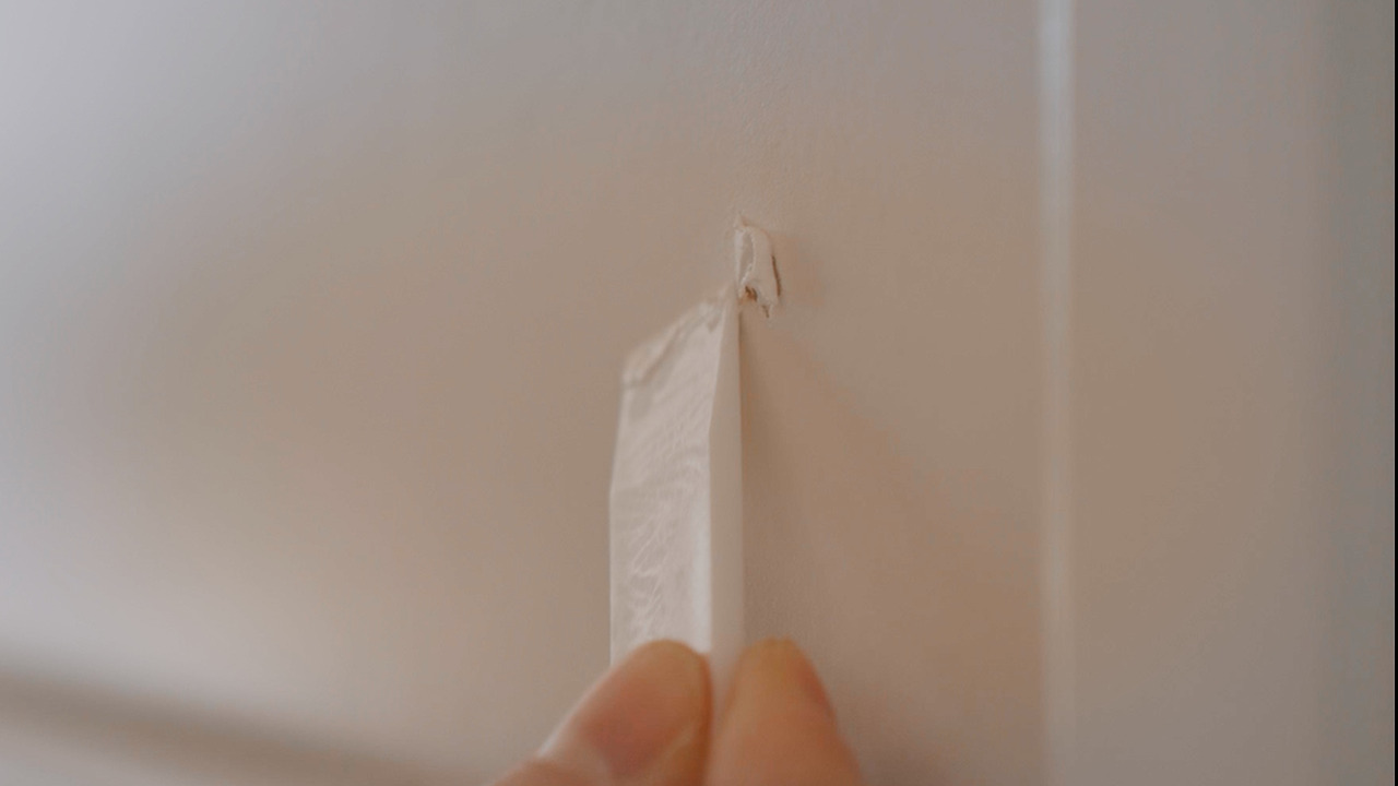 Still 2024-11-29 122129_1.179.1.jpg