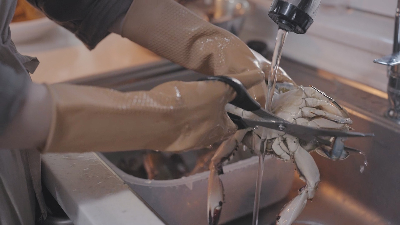 01_Still 2024-10-25 113400_2.1.14.jpg