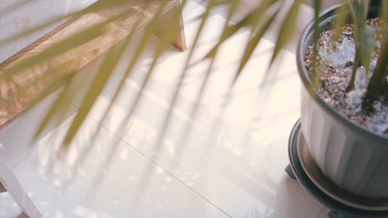 Still 2024-08-28 133250_2.8.9.jpg