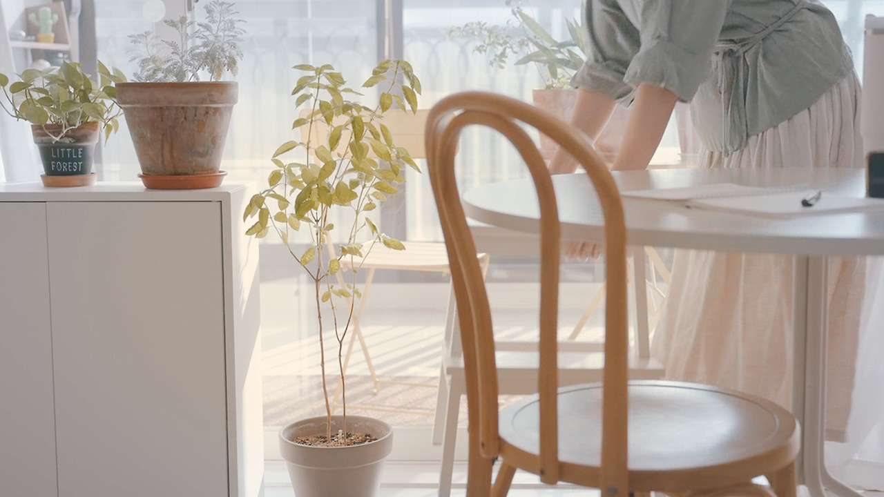 Still 2024-11-14 165033_2.16.5.jpg