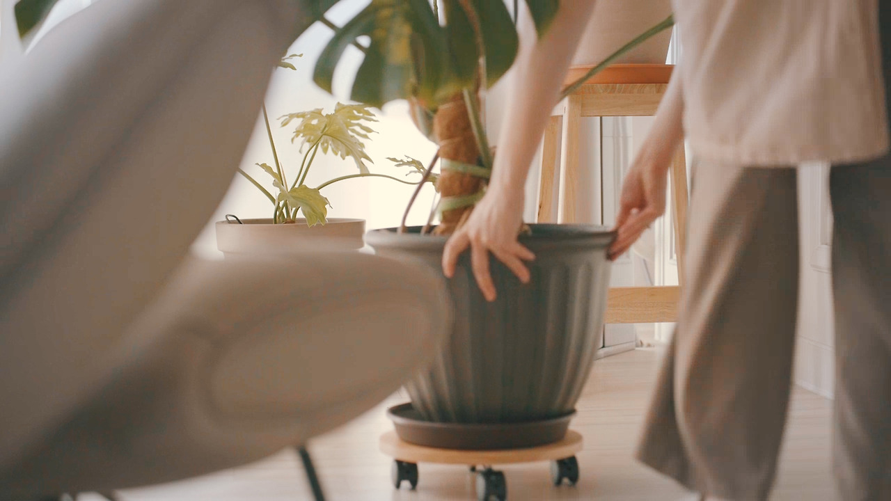 Still 2024-11-14 165033_2.10.4.jpg