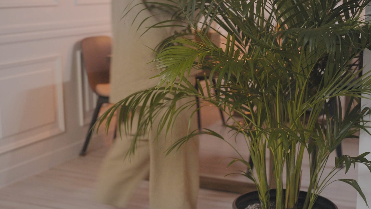 Still 2024-11-29 122129_1.122.1.jpg