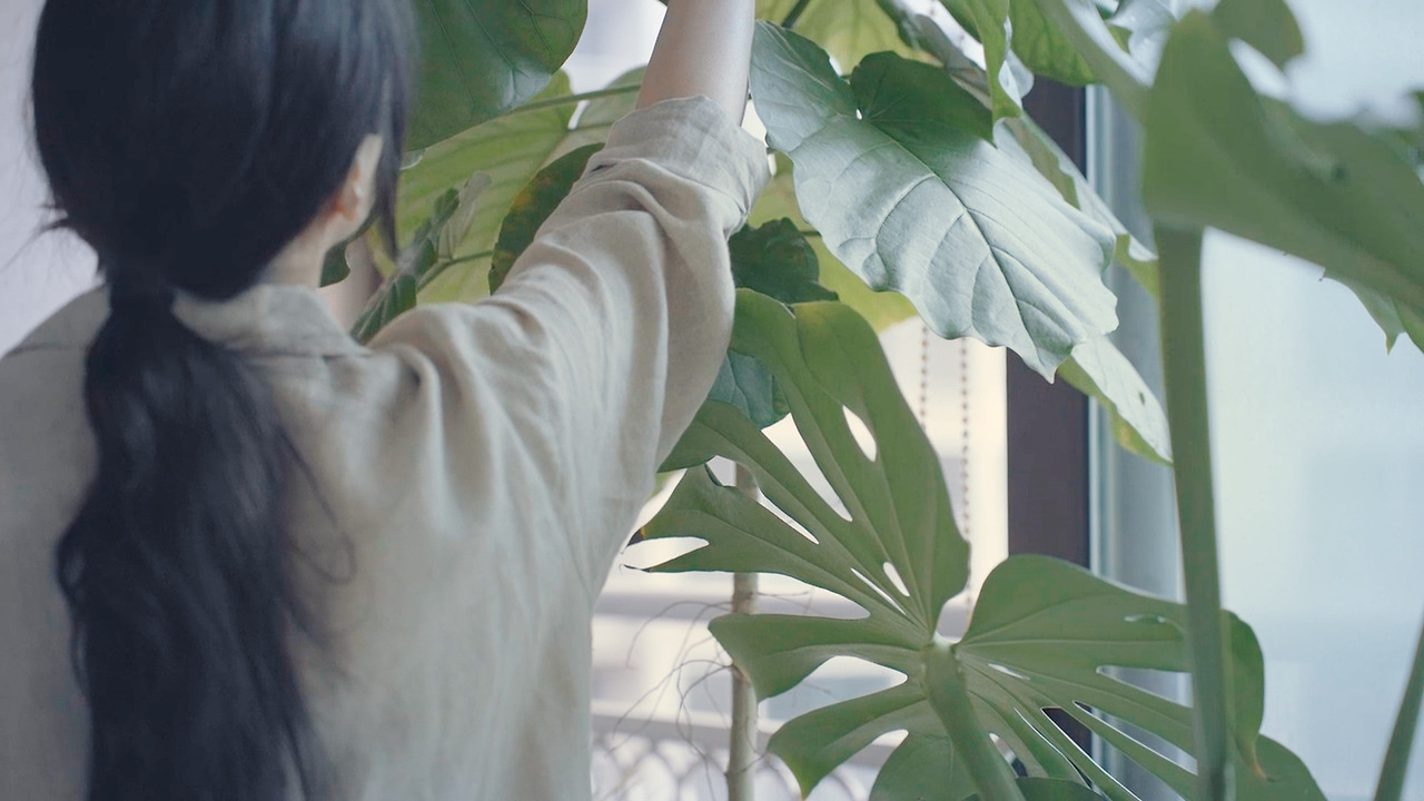 01_Still 2024-11-05 194207_2.4.4.jpg