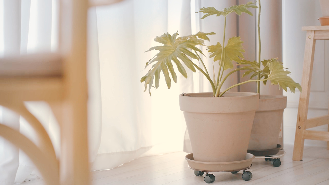 Still 2024-11-14 165033_2.10.3.jpg