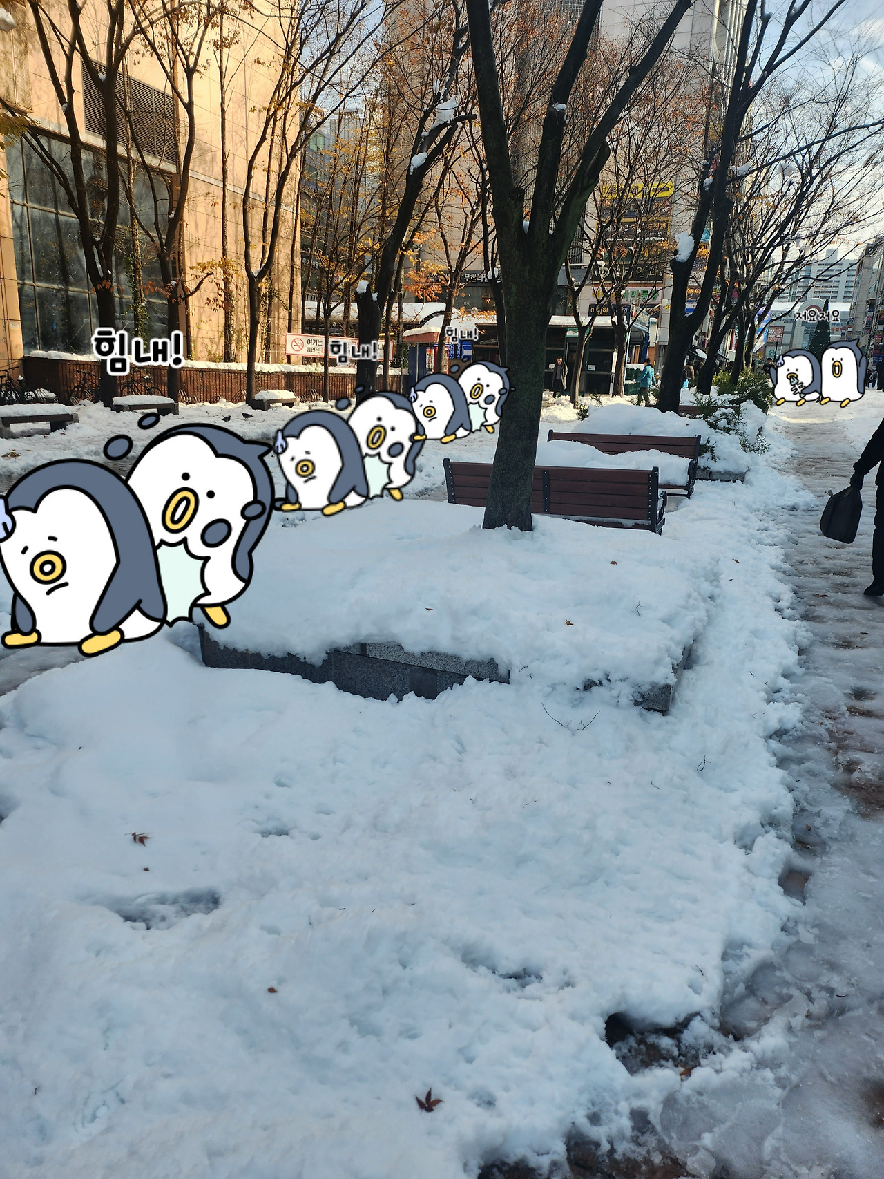 눈 덮힌 이마트 앞.jpg