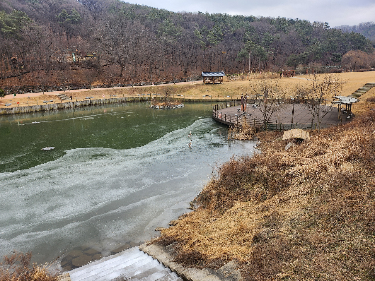 초막골 물새연못 얼었음.jpg