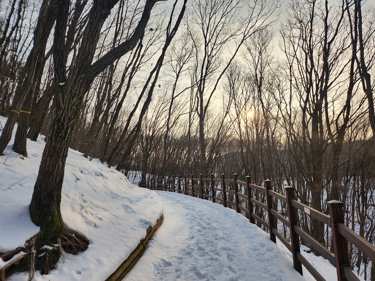 초막골 눈 길.jpg