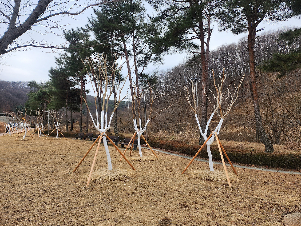 초막골 비닐 옷.jpg