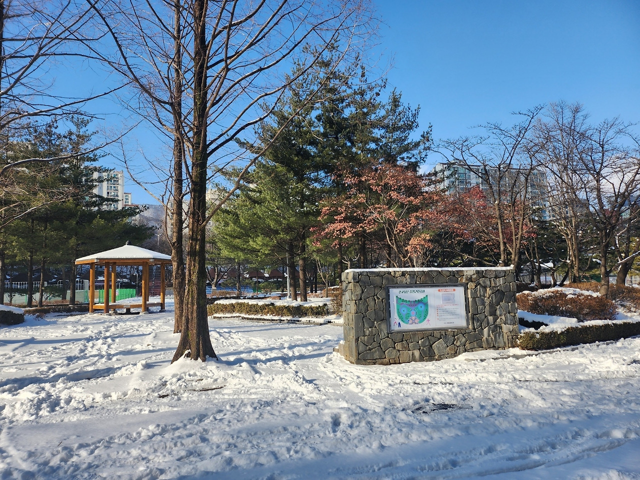 중앙공원 눈.jpg