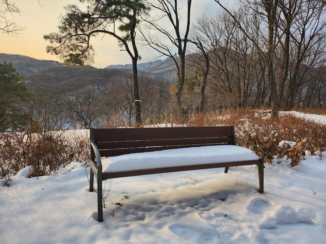 초막골 눈 의자.jpg