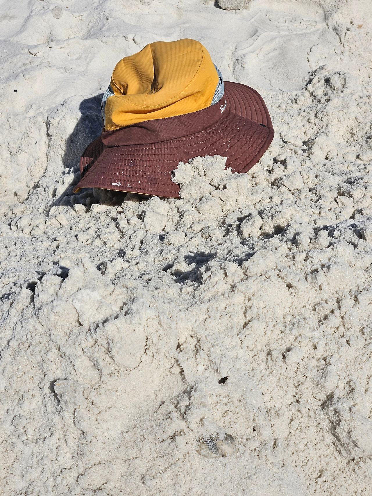 20241012_123940 (1).jpg