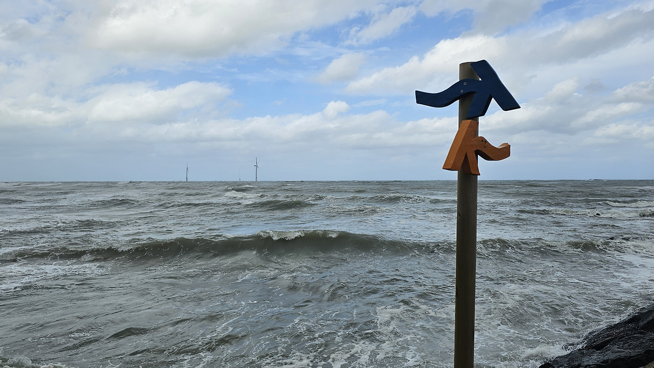 월정리 해변 깃발.jpg