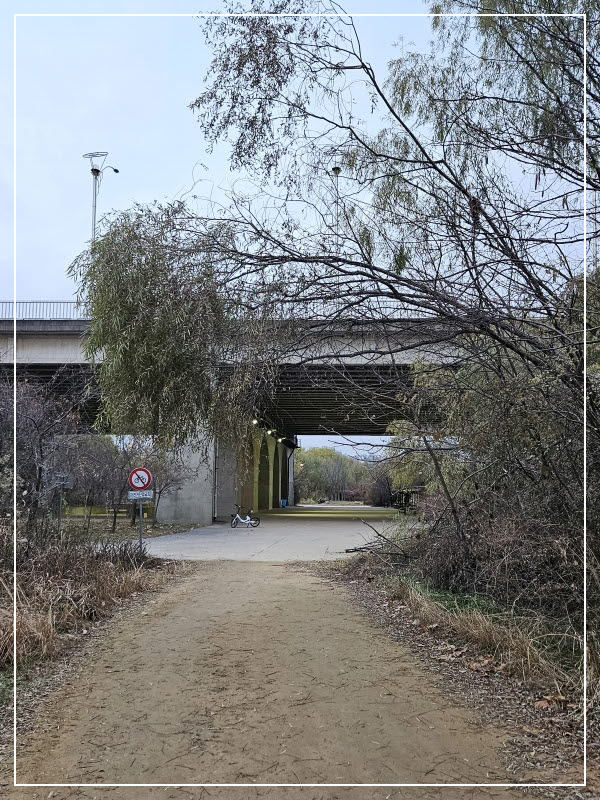 [크기변환]꺽인 나무.jpg