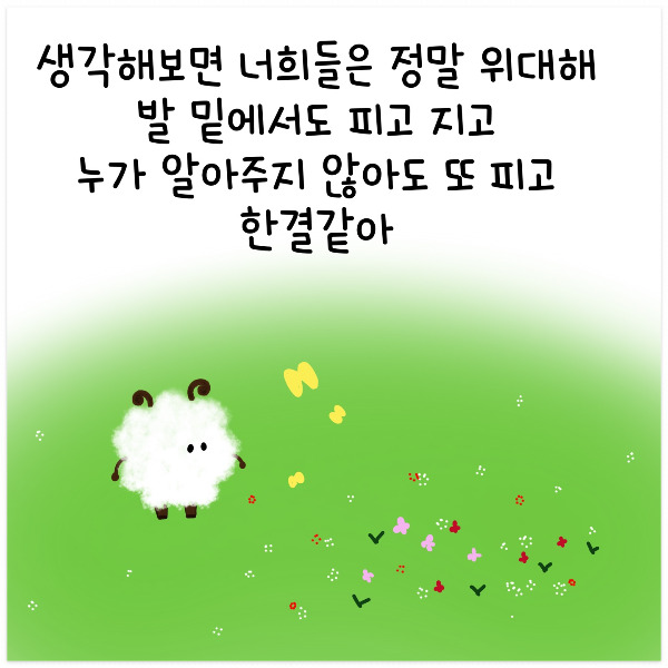 KakaoTalk_20250314_174731897.jpg