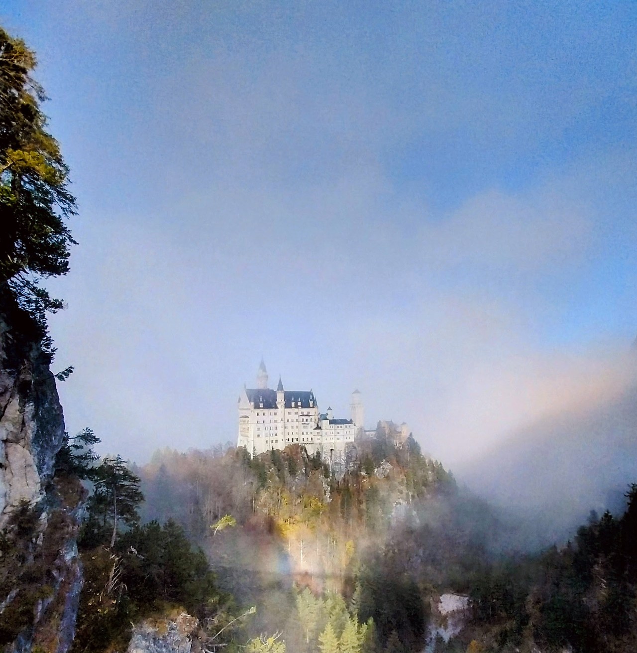 20241108_120539~2-EDIT (1).jpg