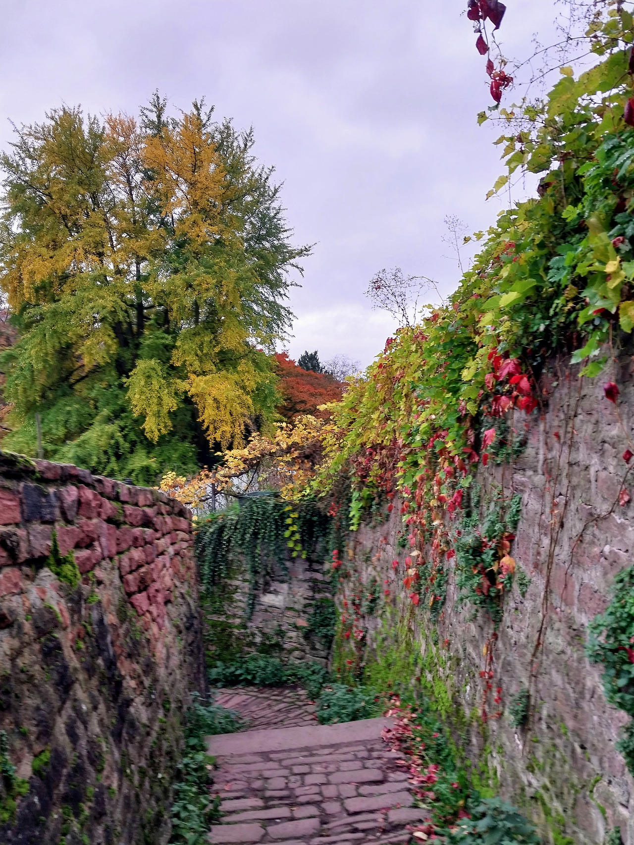 20241112_082729 (1).jpg