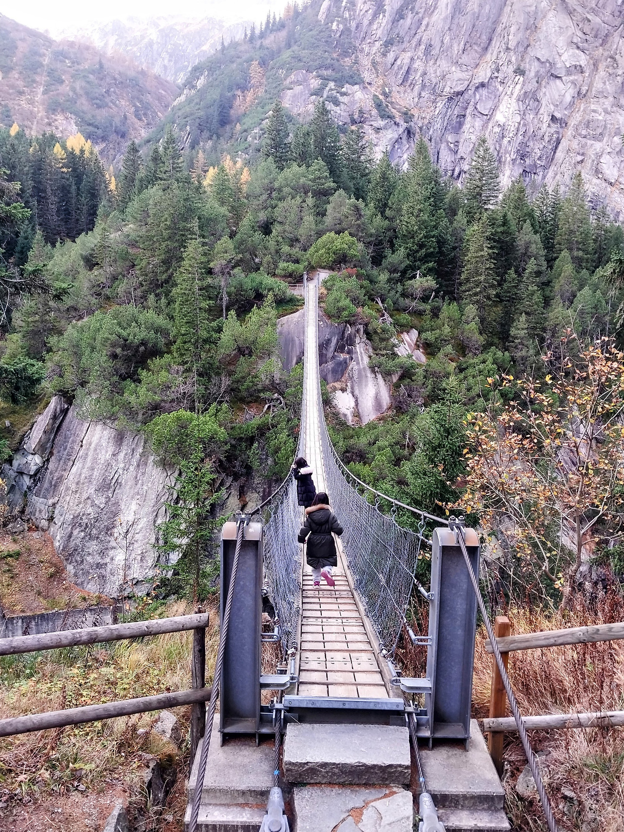 20241106_141741-EDIT (1).jpg