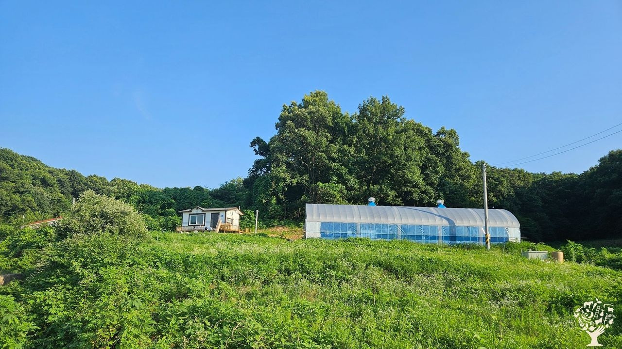 2512우프코리아2 (1).jpg