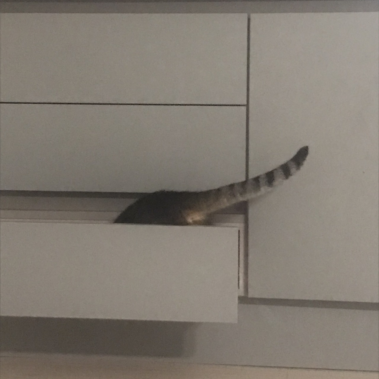 다운로드 (2).jpg