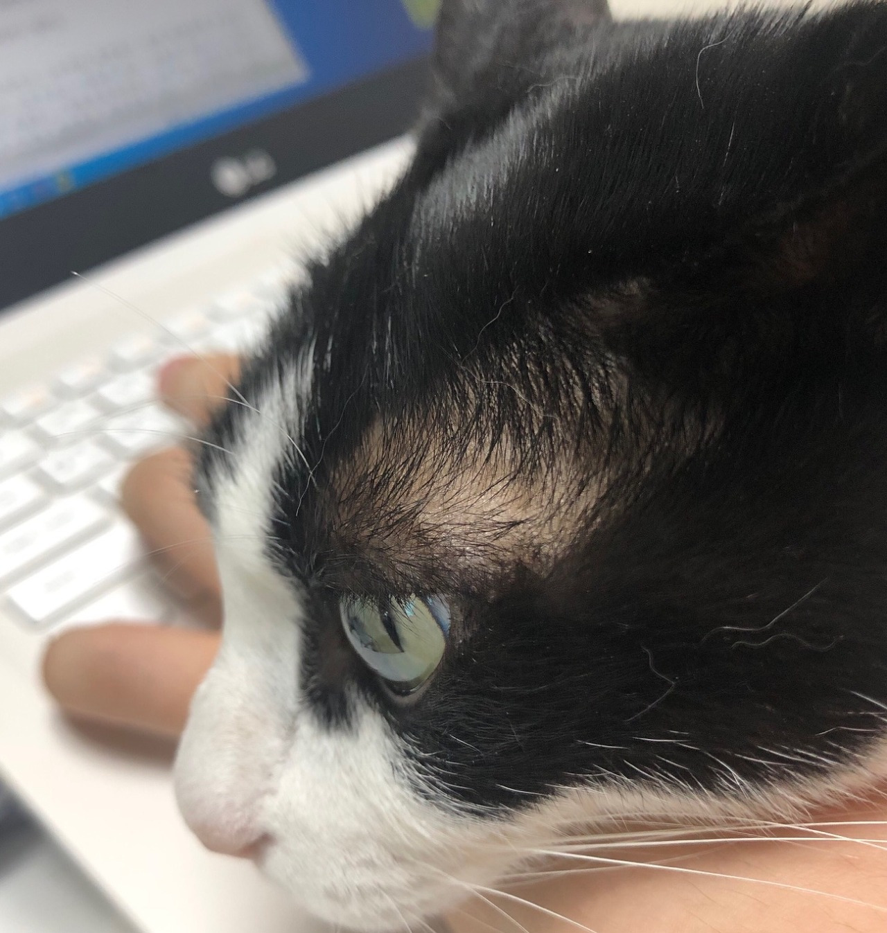 다운로드 (3).jpg