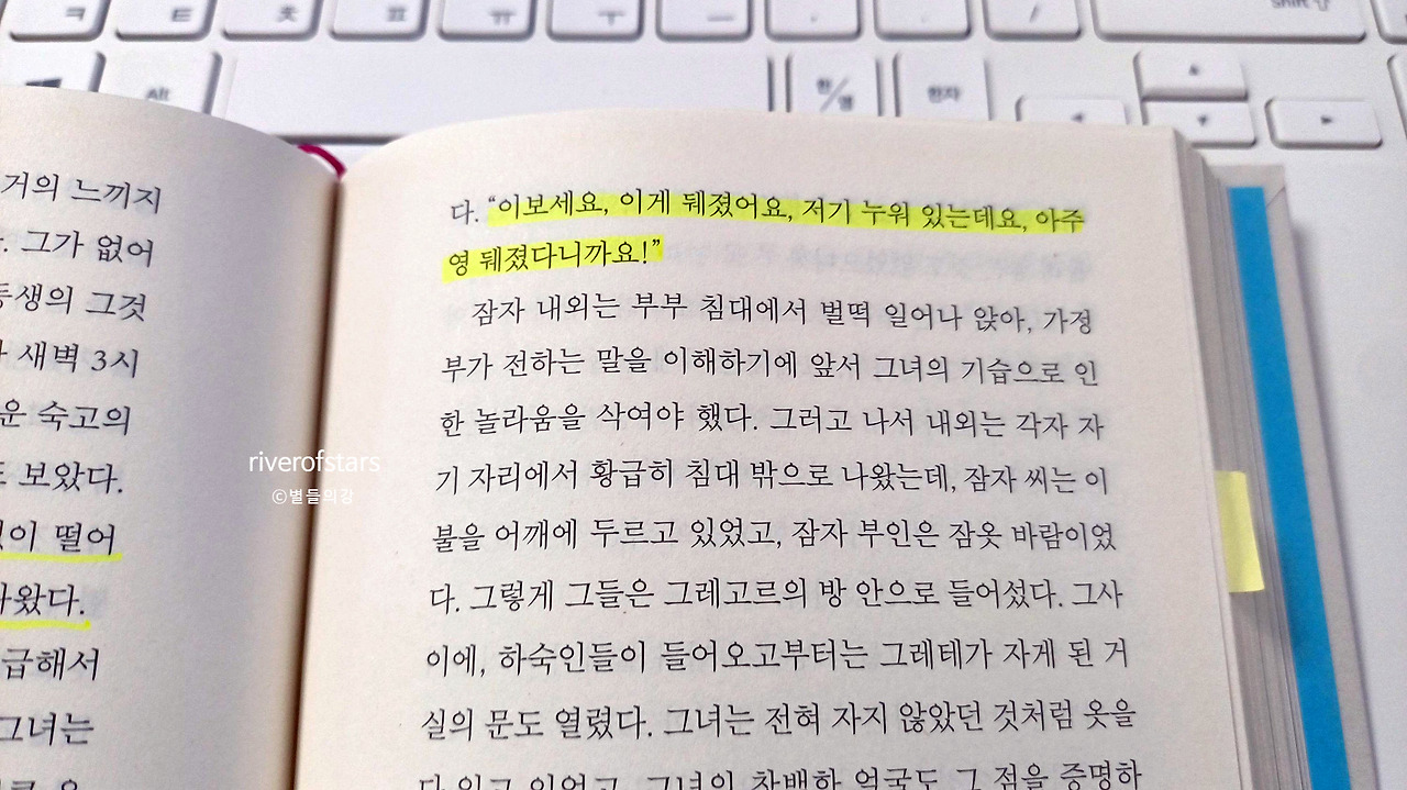 카프카. 변신.jpg