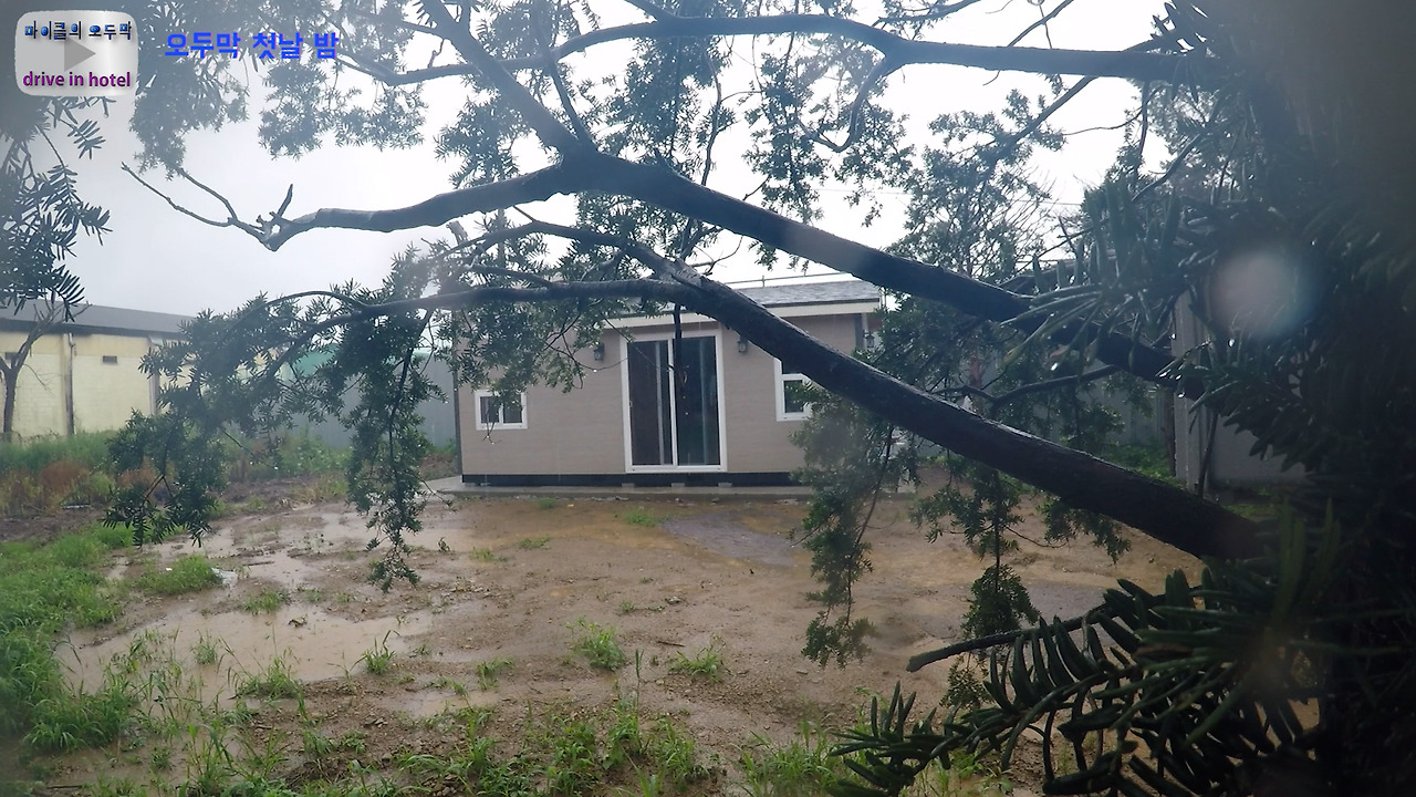 마이클의오두막(16)-엔진톱성능.02_59_49_00.스틸 001.jpg