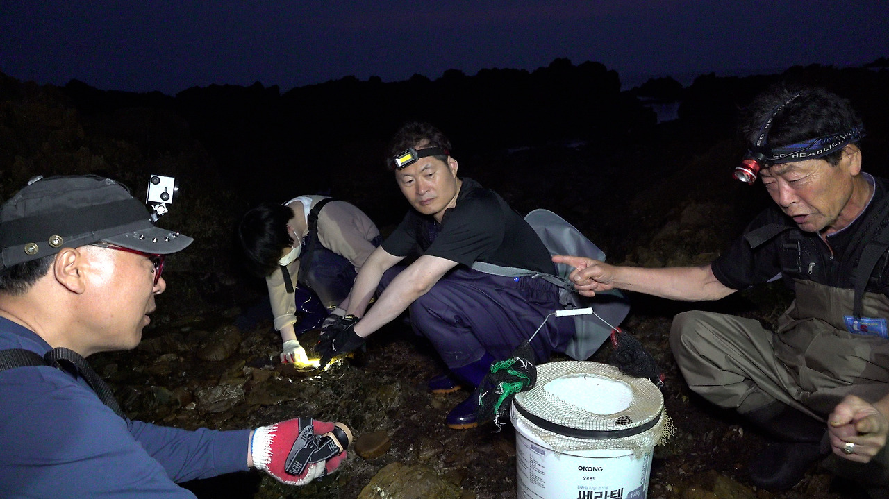 GOPR5661.00_08_52_20.스틸 013.jpg