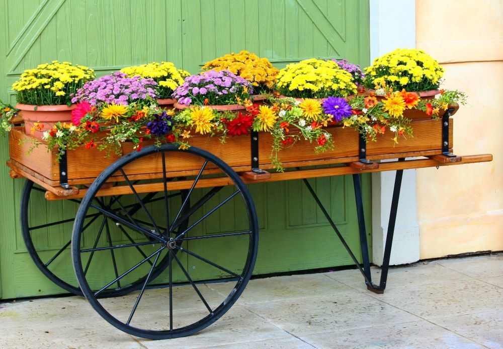 outdoor-blossom-plant-vintage-wheel-wagon-1145760-pxhere.com.jpg