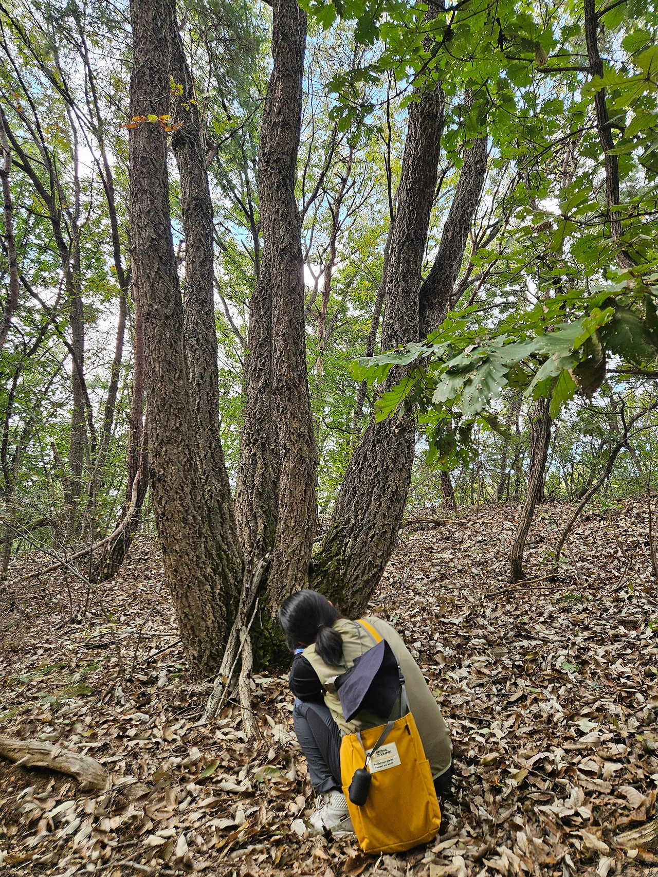 KakaoTalk_20251026_151059075 (1).jpg