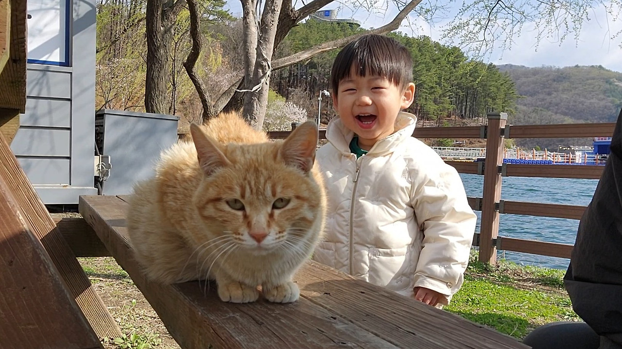 카지노 게임 추천