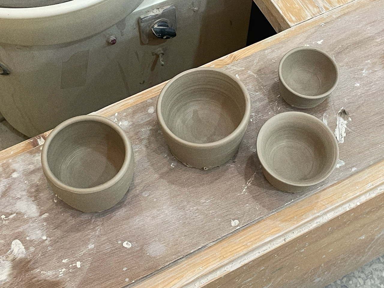 살아남은 것들.jpg